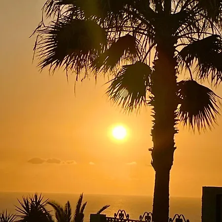 365 Sunshine Tenerife 아파트호텔 아데제